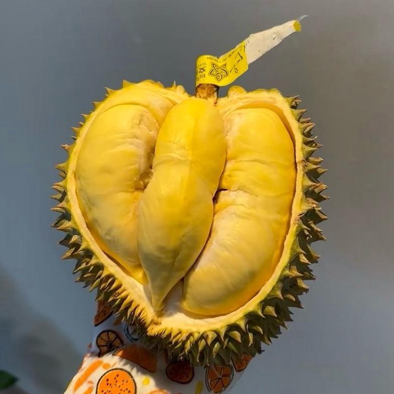 水韵莲花