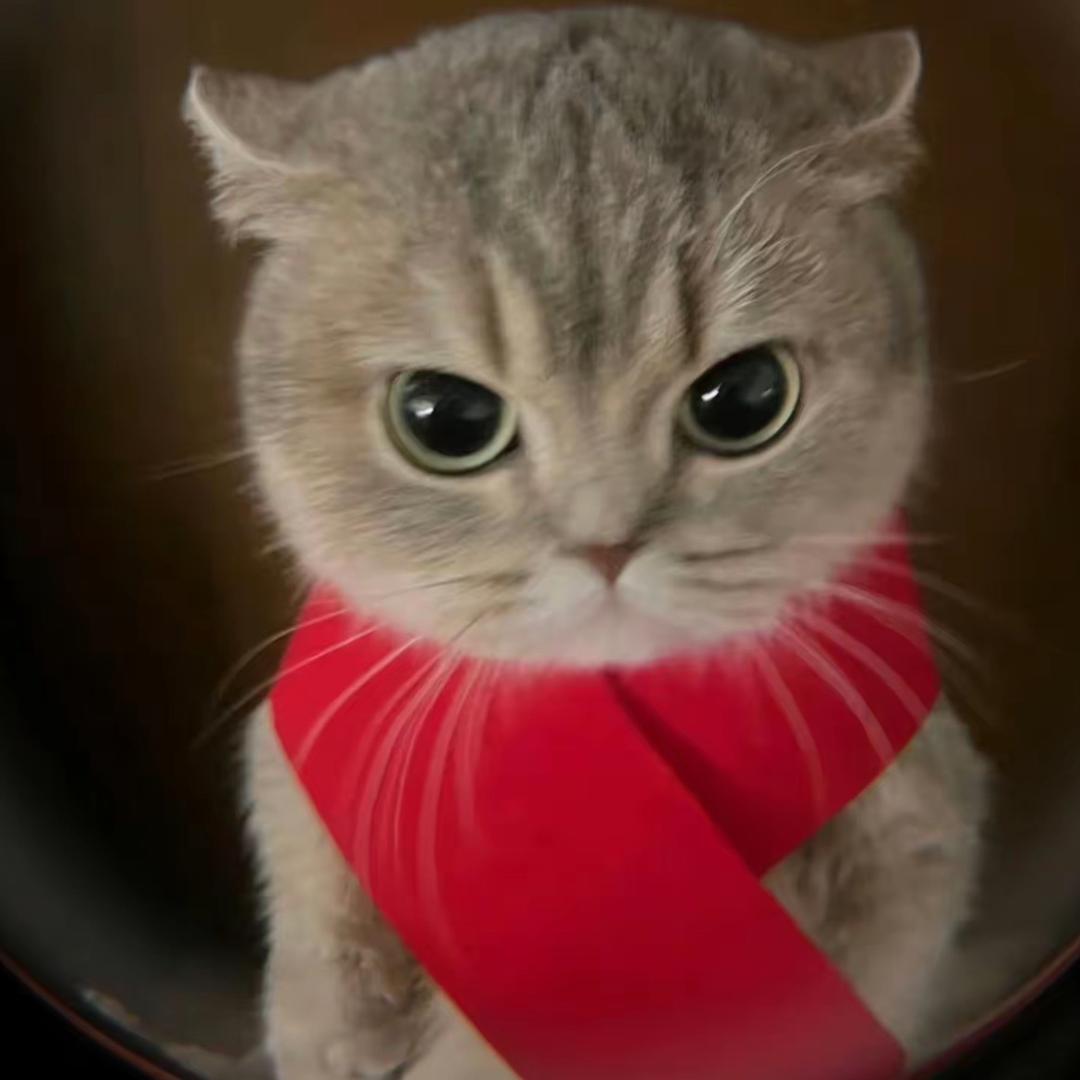 古早味小猫杂货铺