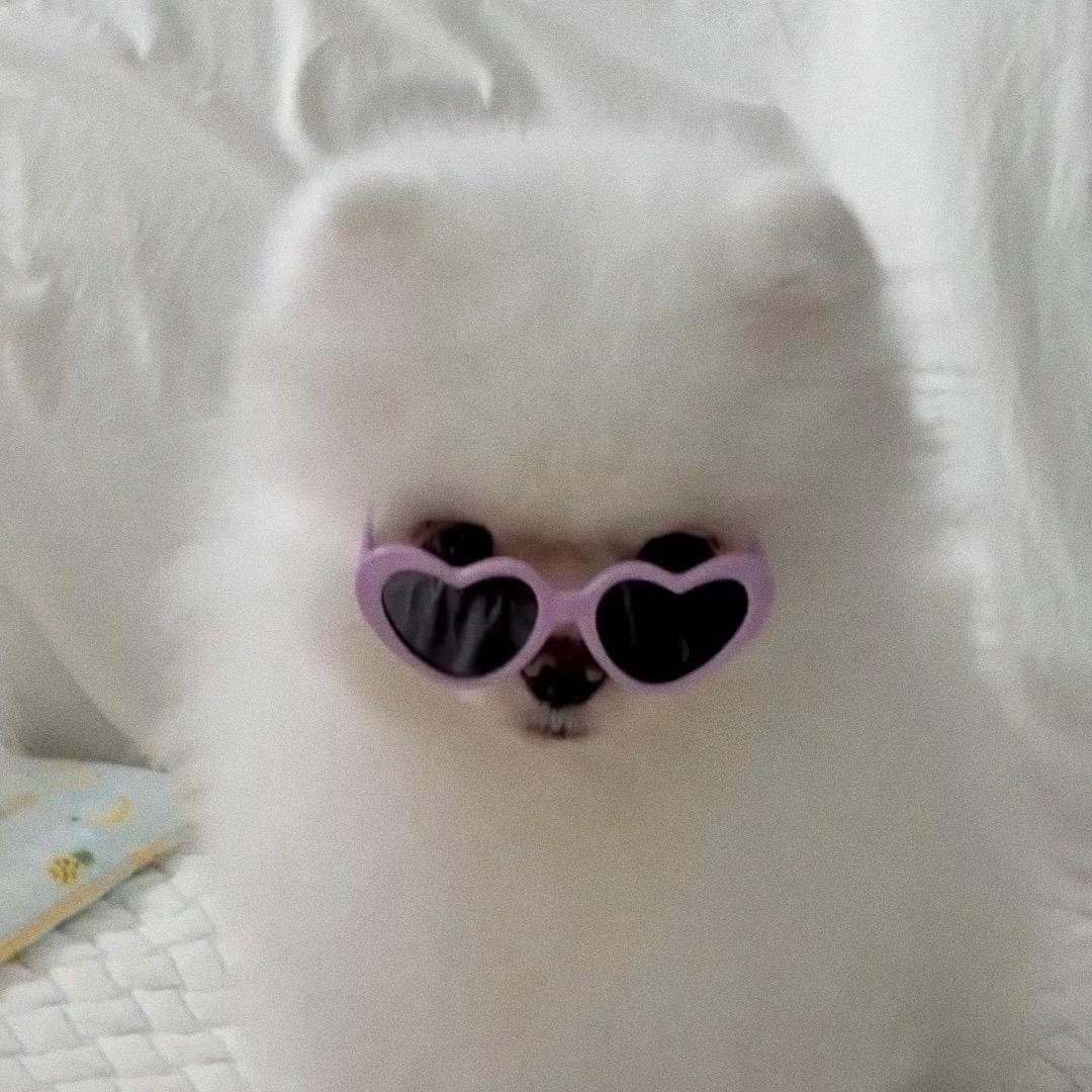 若若若rUohAnaw🐱