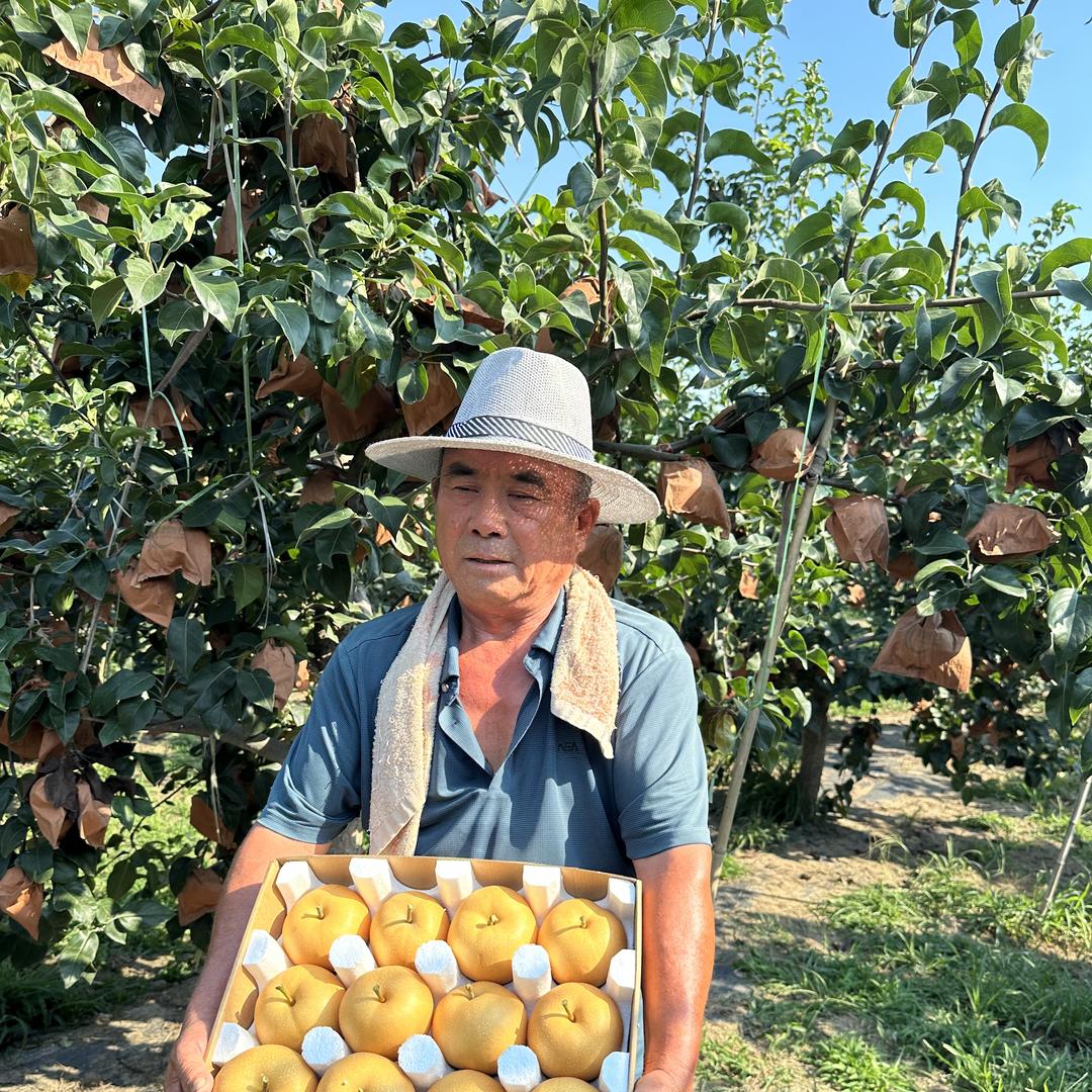 江山仙果水果蔬菜旗舰店