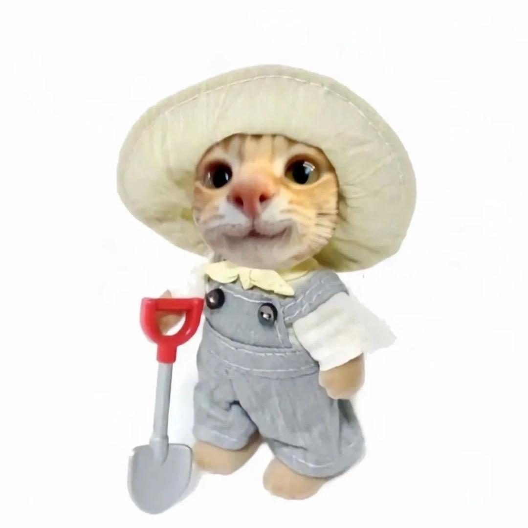 尔