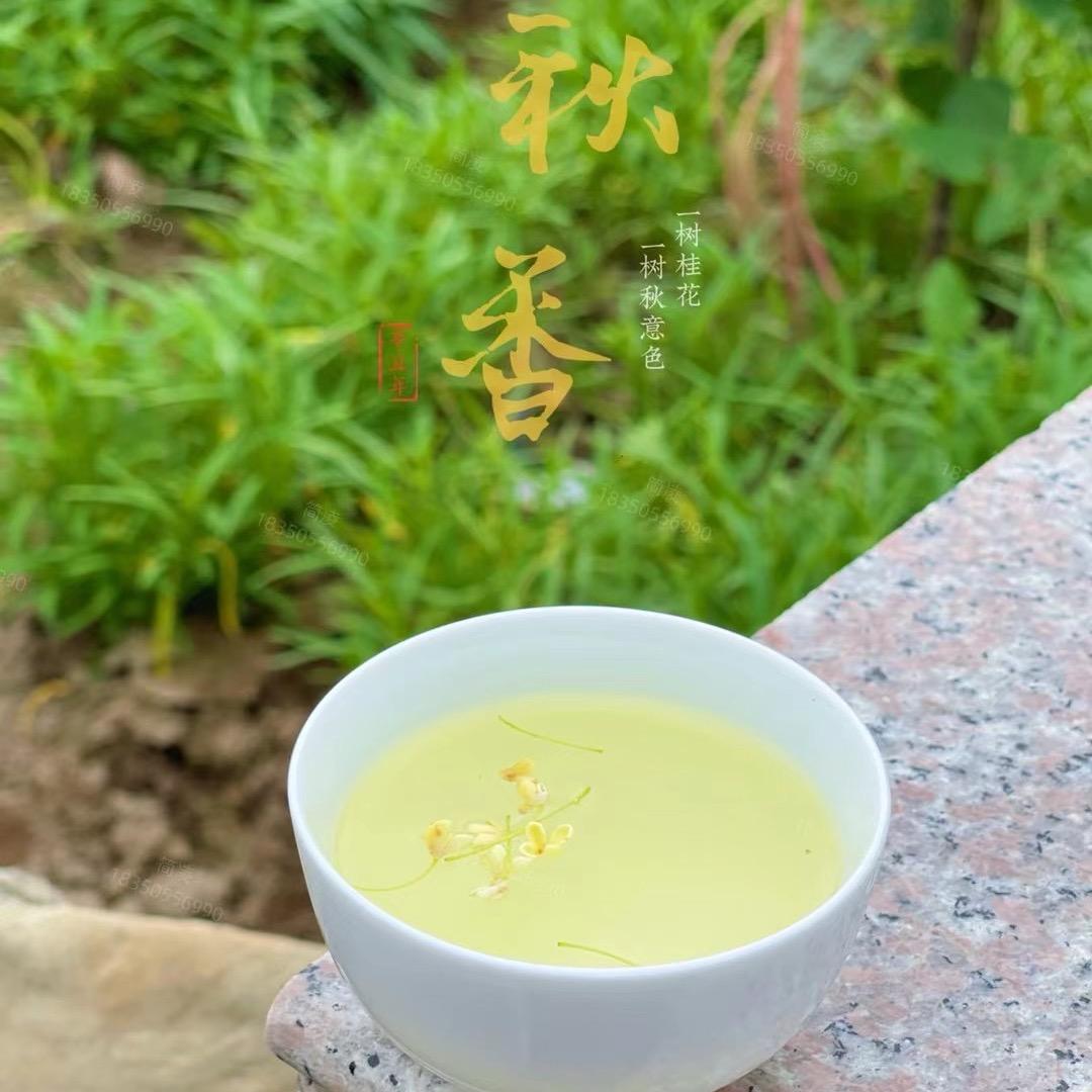 茶美1