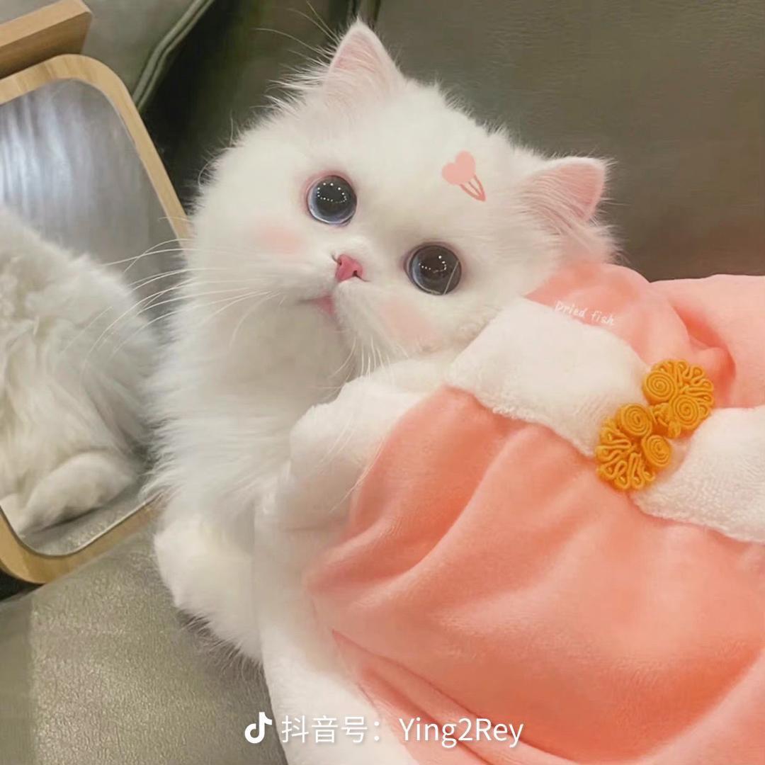 小蜜冯优选好物
