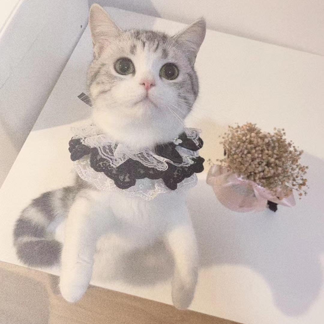 略略略