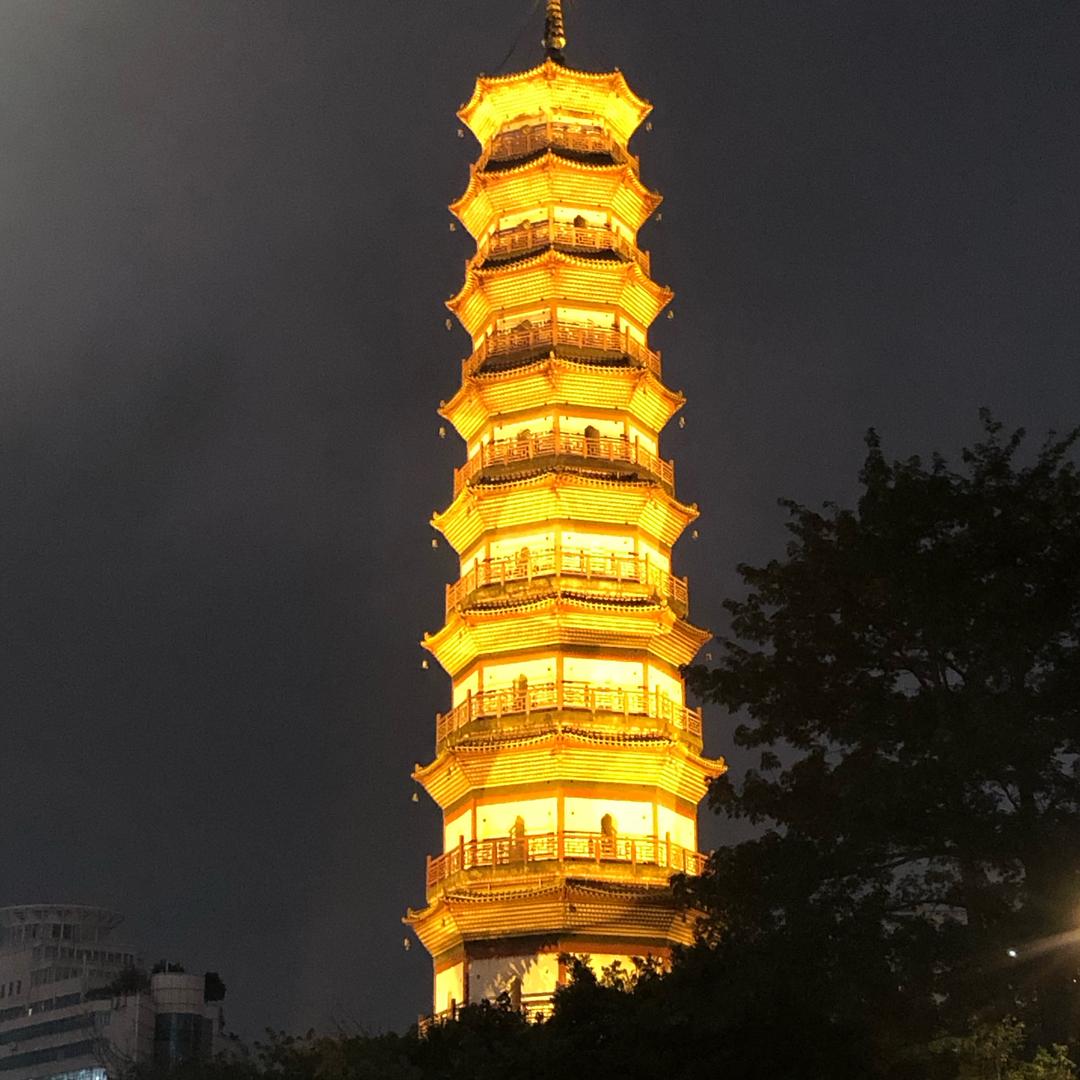 林深不知路归途