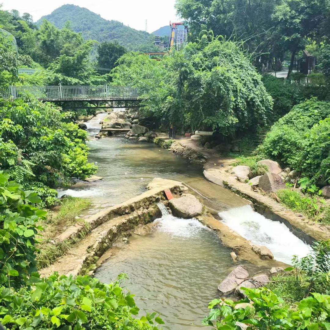 佛山小曾