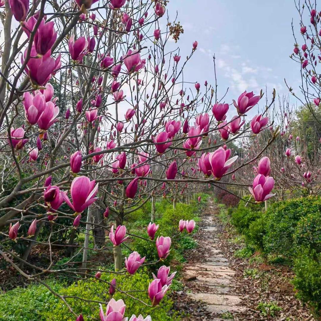 诚沁农品精选店