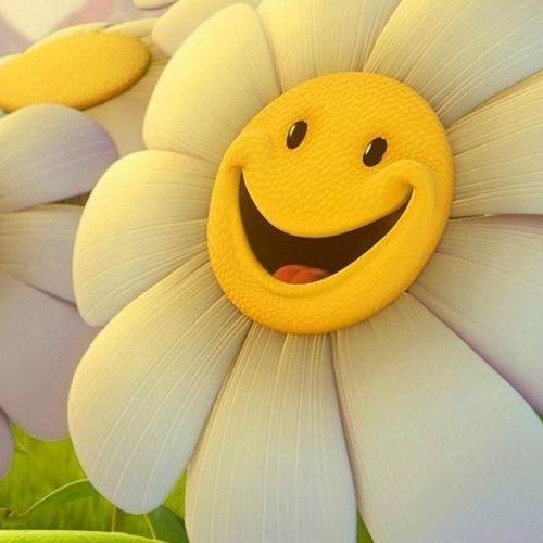 一个扫把掉地上都不愿意捡的女人🤗