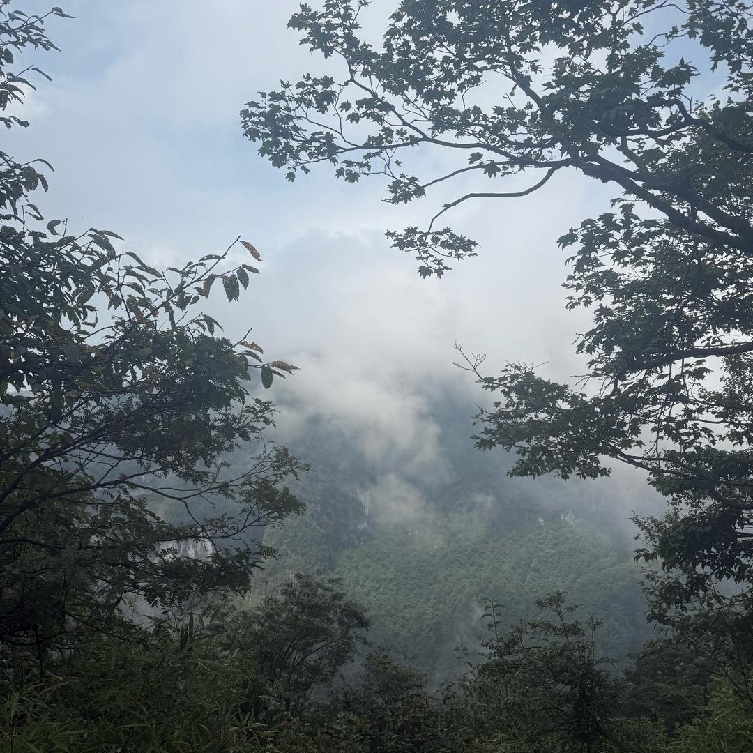 往后无忧