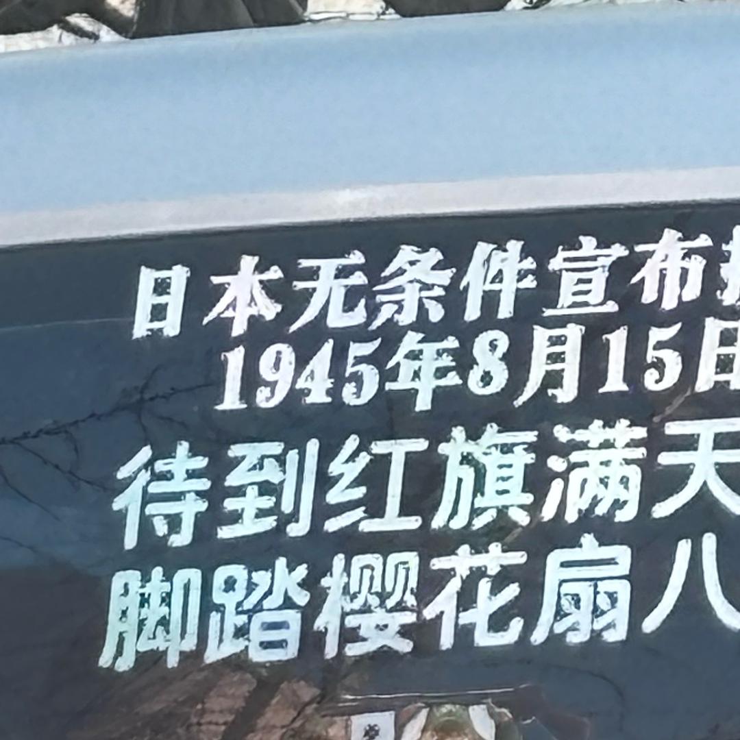 知青🌱