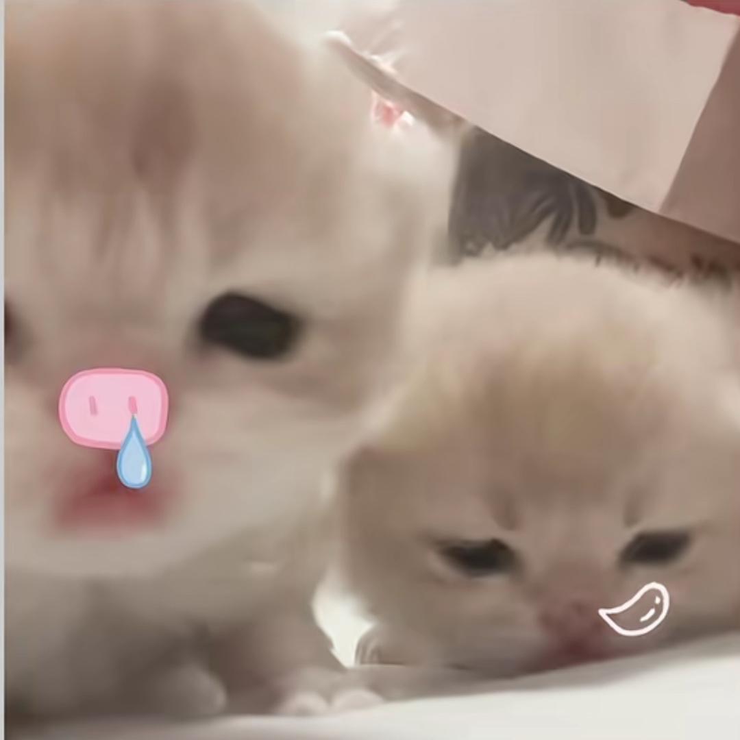 如果敏感