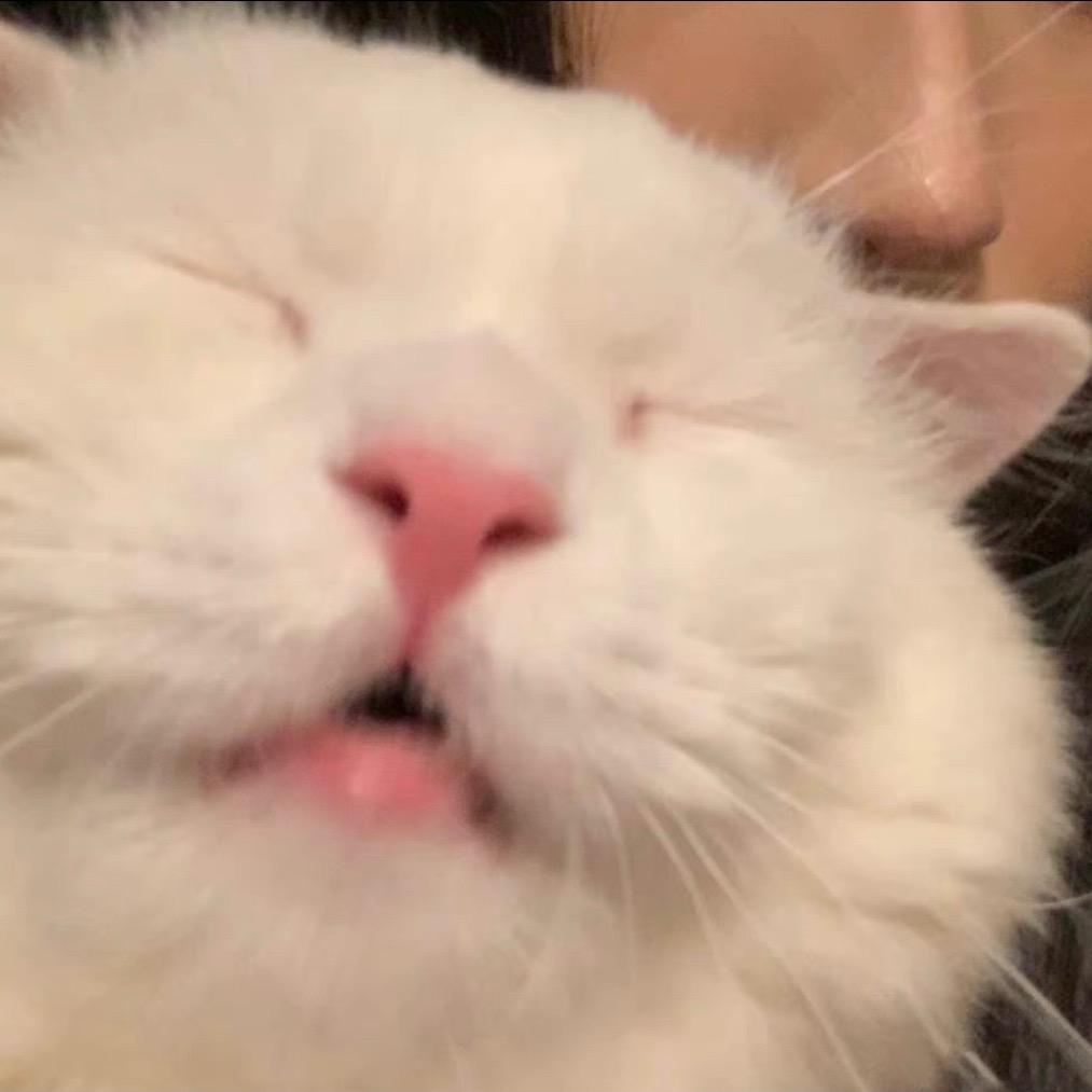 摸摸头