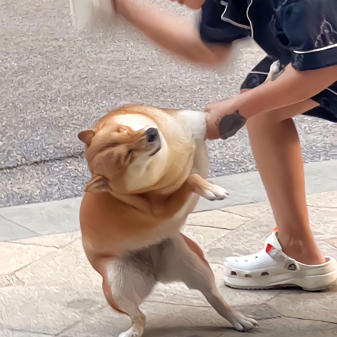 小刘🤹🏻‍♂️
