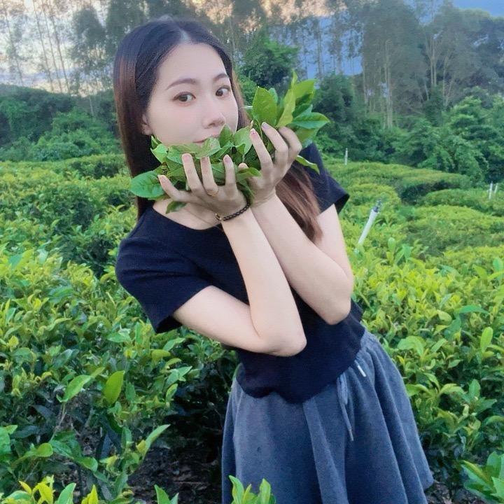 姐妹单丛茶（新号福利多多）