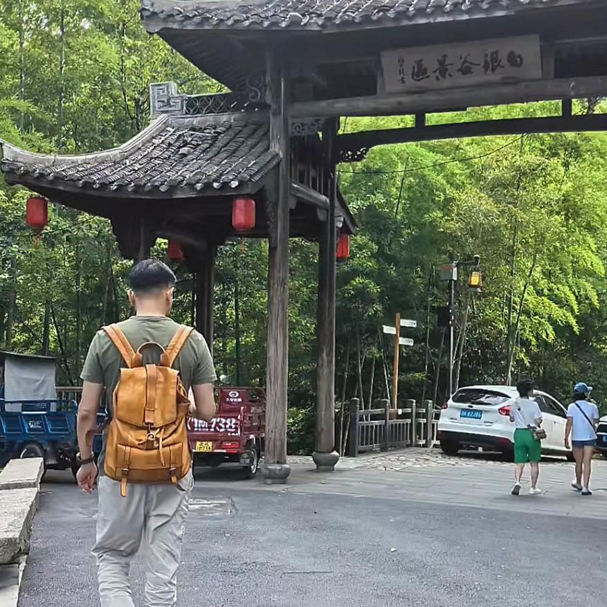 枫叶追剧