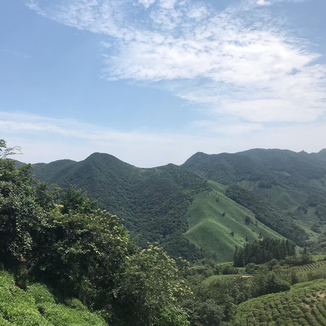 余生我很好