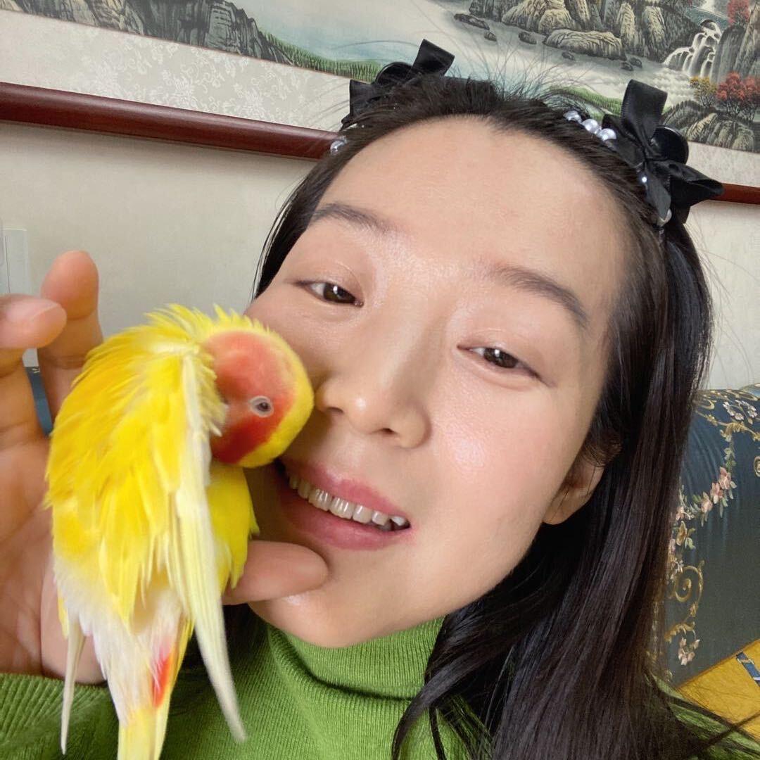源宝家的福宝