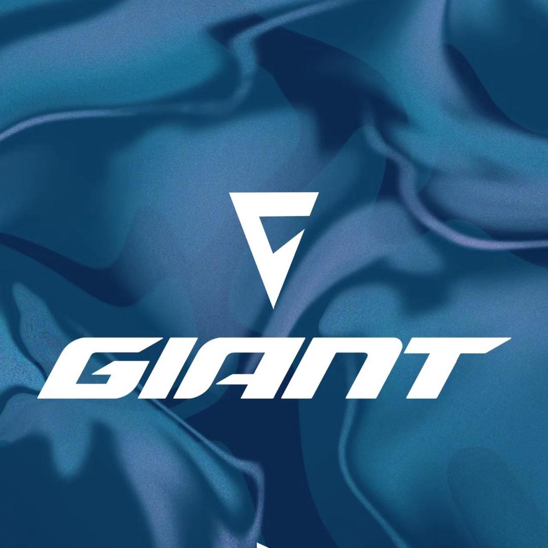 襄阳捷安特自行车体育场