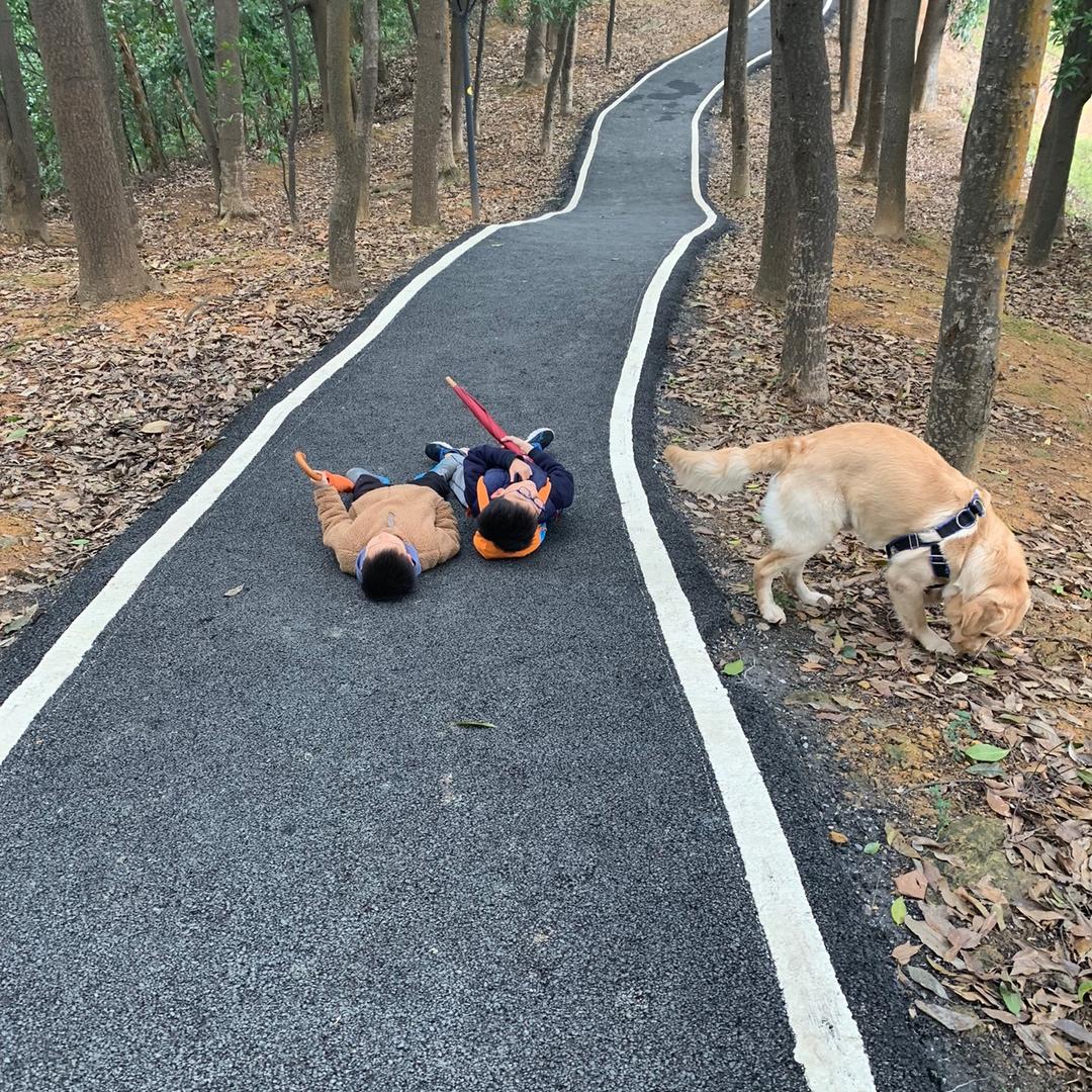 被迫谋生的蔡大叔