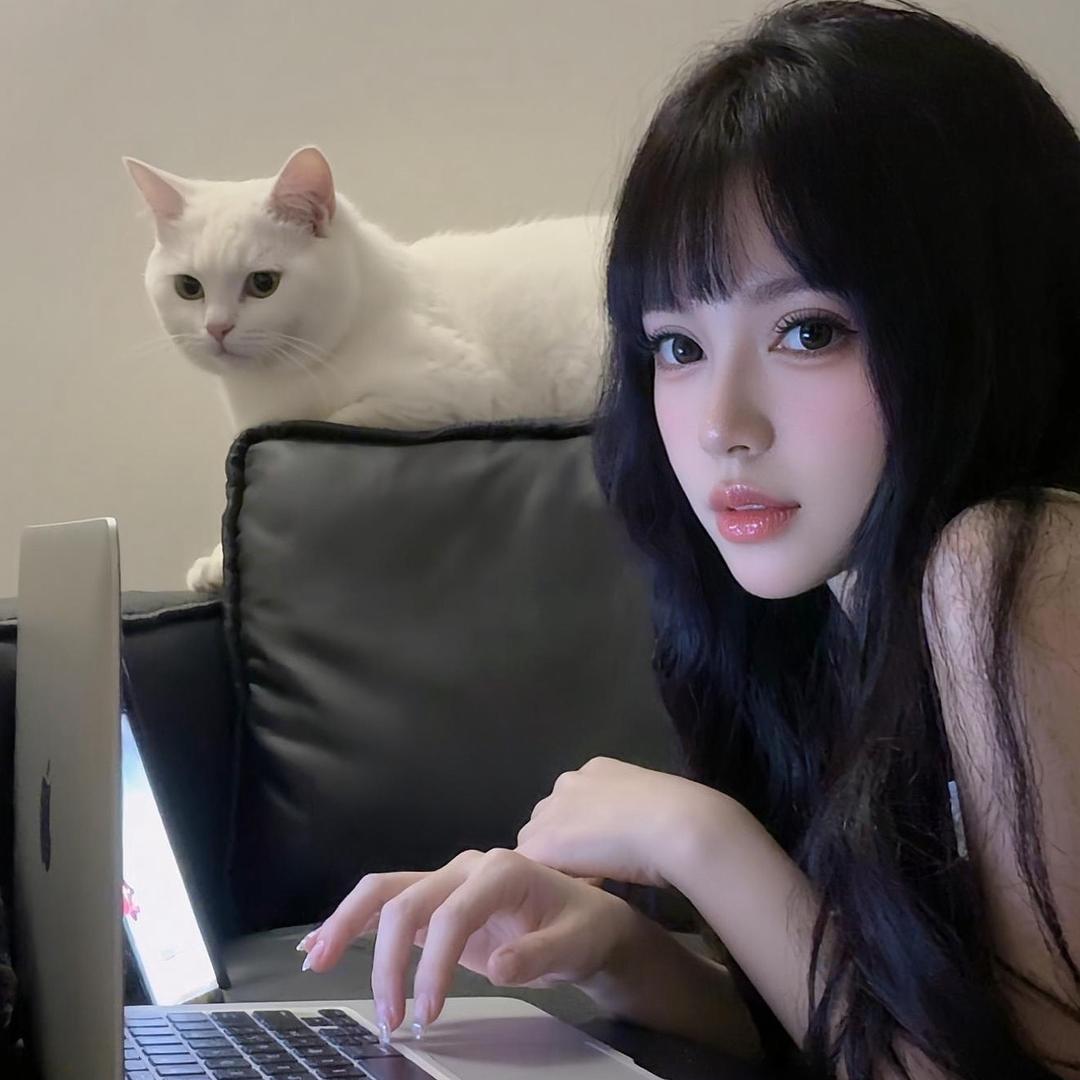 猫猫吖