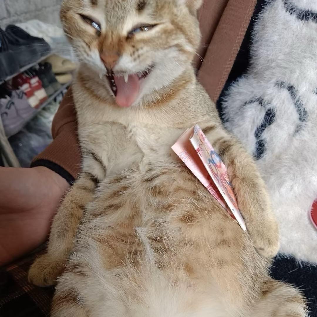想做富姐很久了