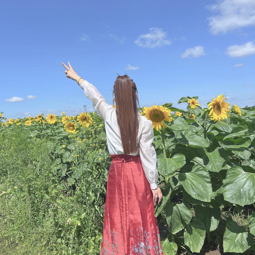 人生若只如初见