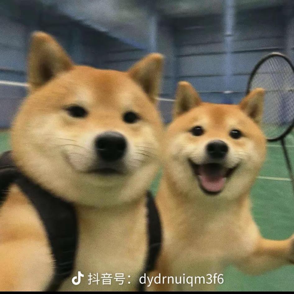 曾见顶
