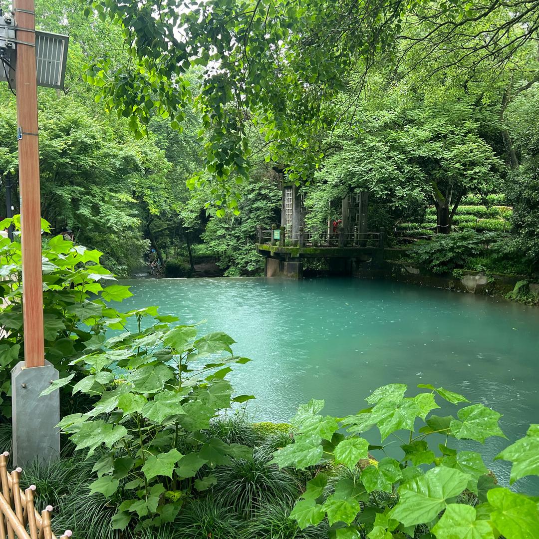 让风