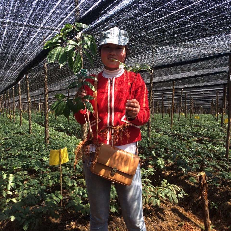 玉缘三七养生馆