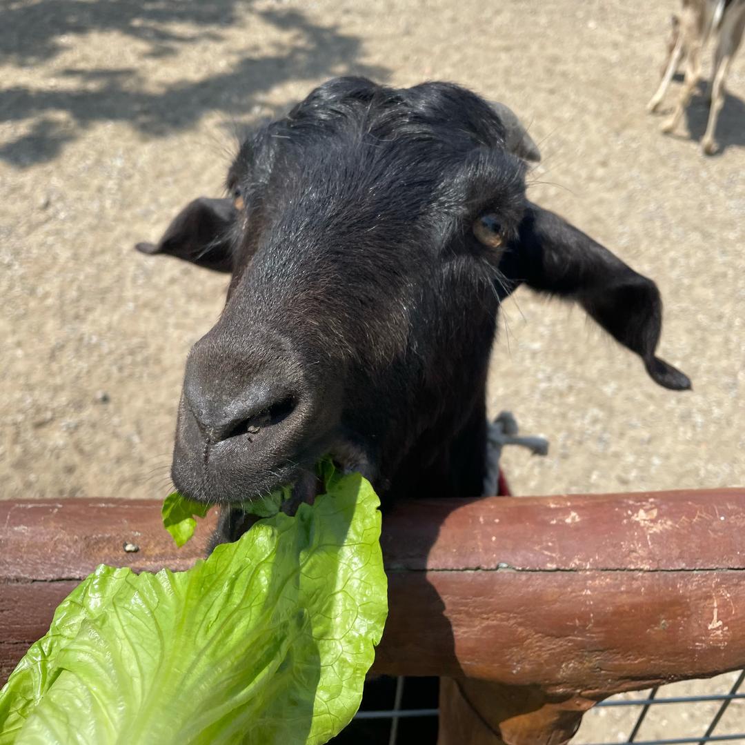 喜乐乐家纺家居