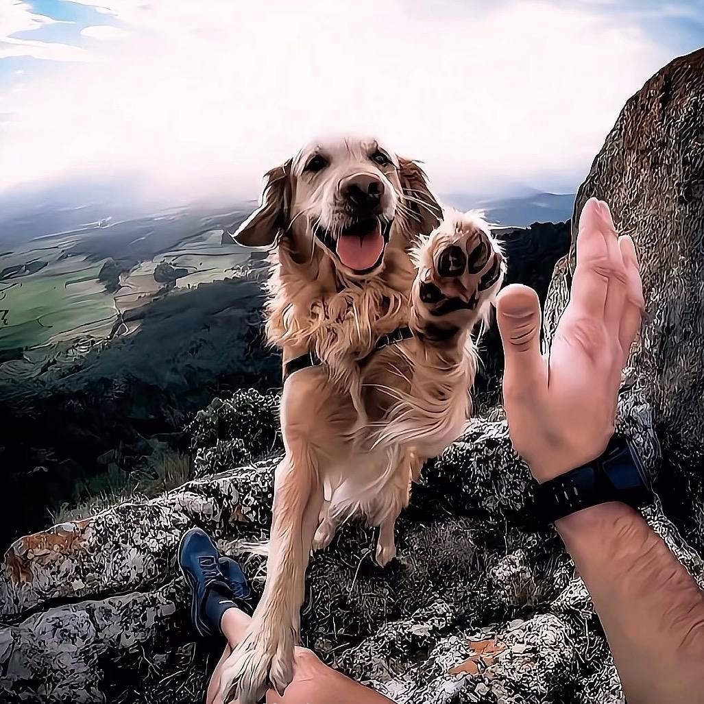 :𝓚𝓮𝓐𝓪𝓲