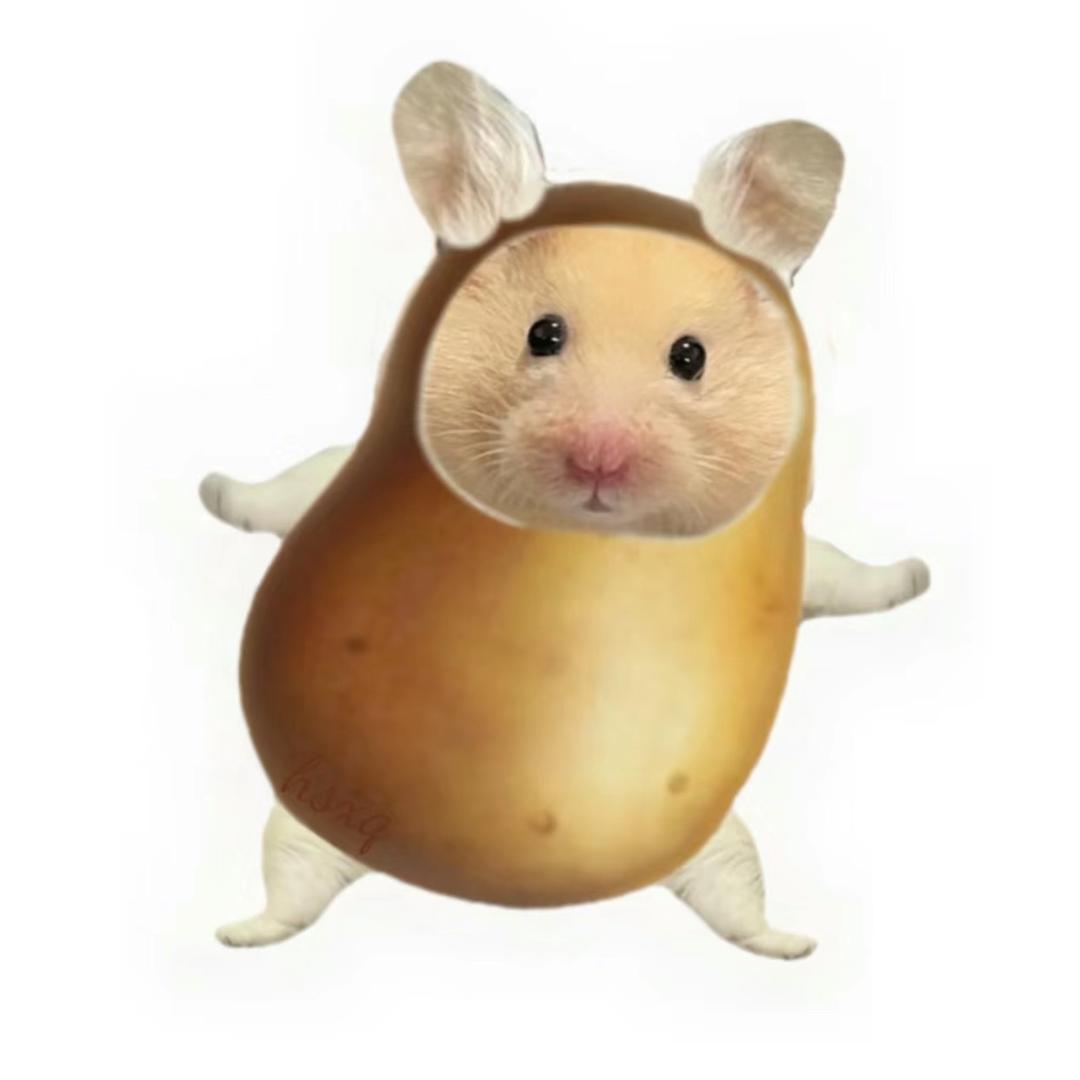 土豆女王