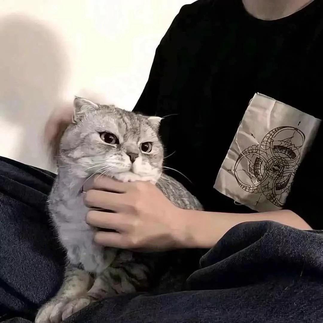 相逢、