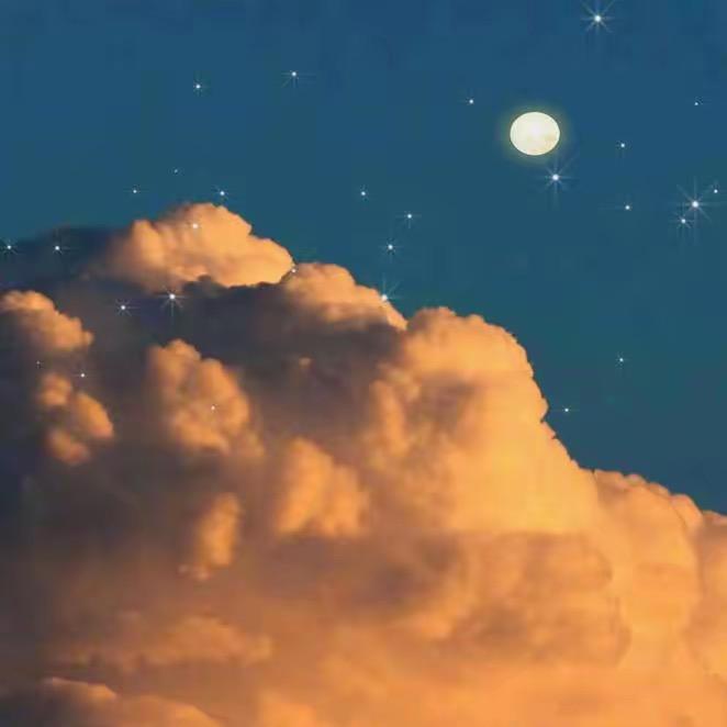 𝐹𝑜𝑟𝑒𝑣𝑒𝑟🌟