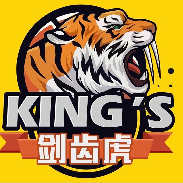 徐州剑齿虎篮球队