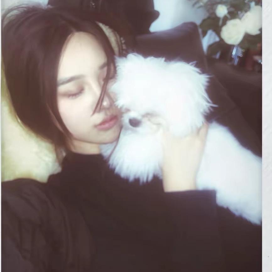 ㅤ￴￴ ￴￴￴ㅤㅤ￴￴ ￴￴猫饼