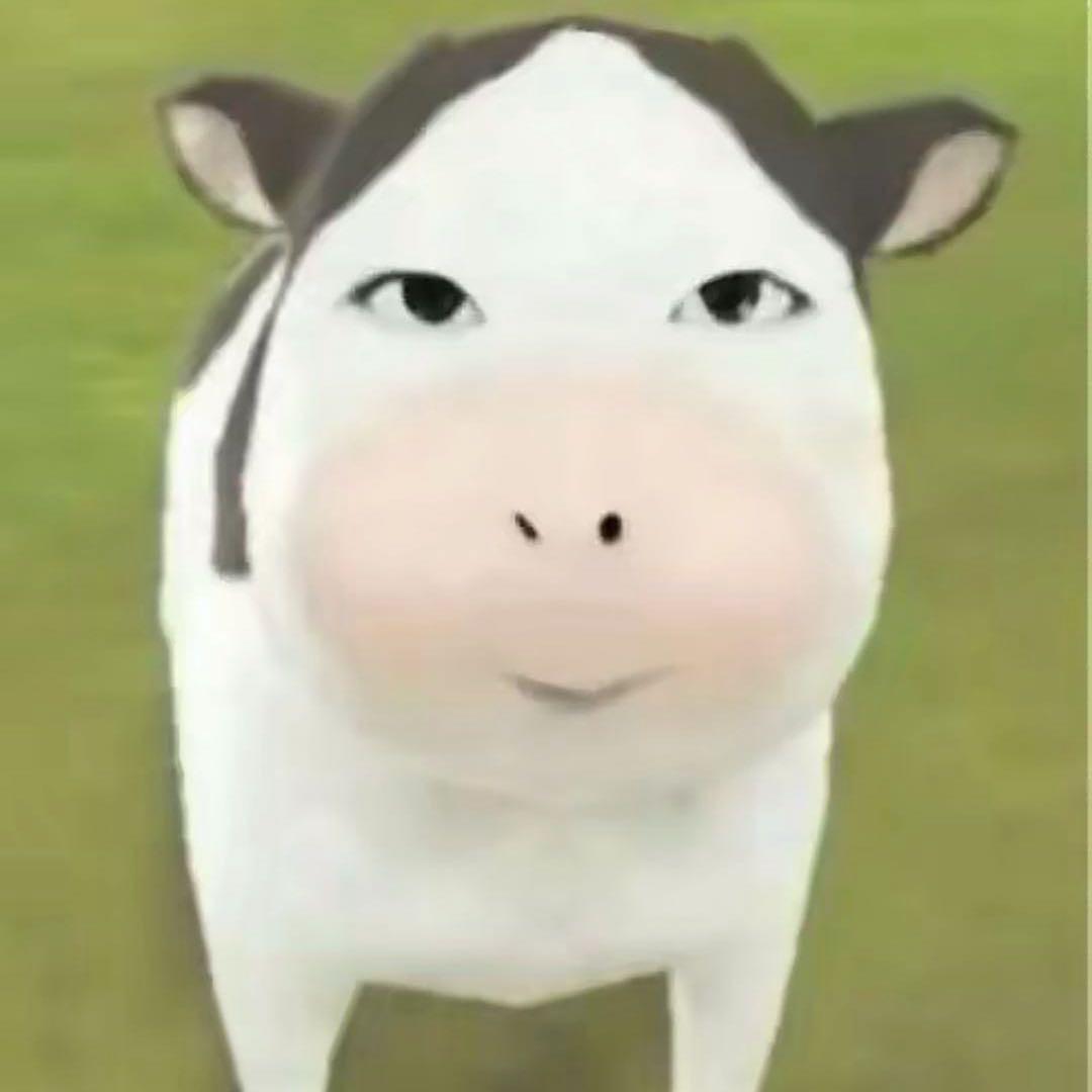 别来烦我.