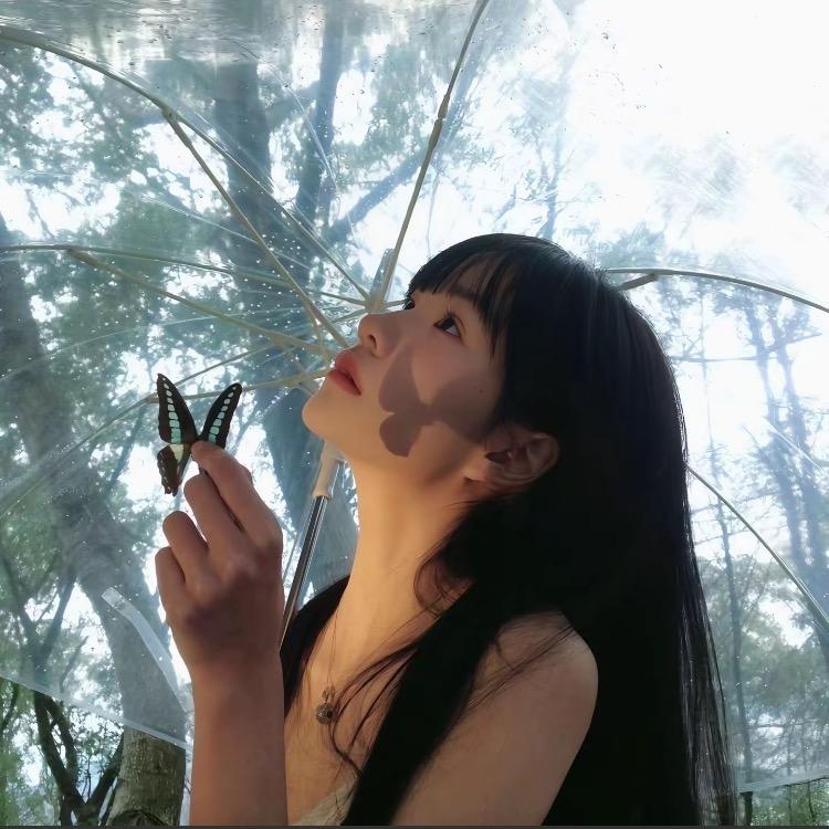 一只巨蟹蟹