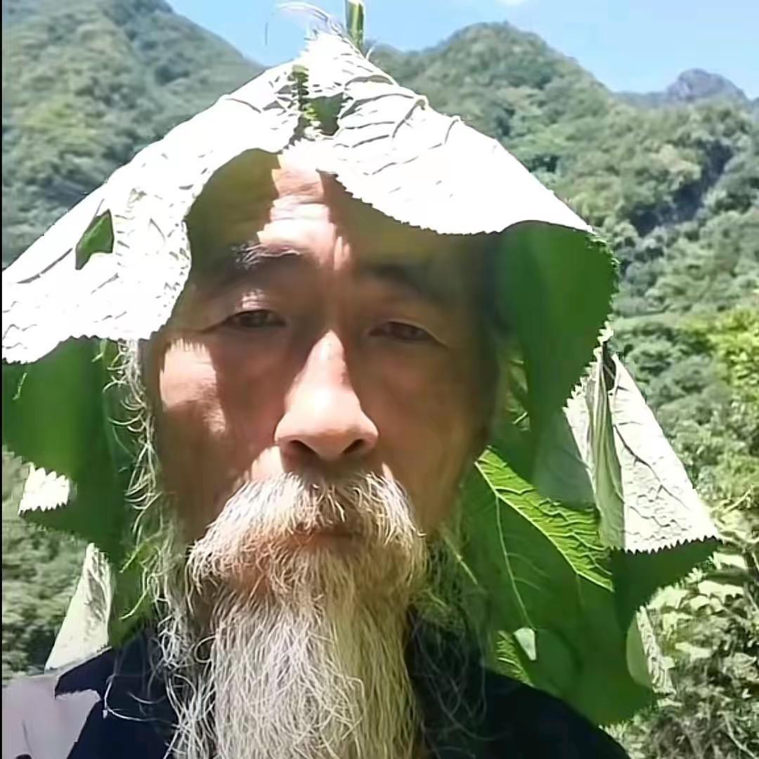 健不了天天想歇选手