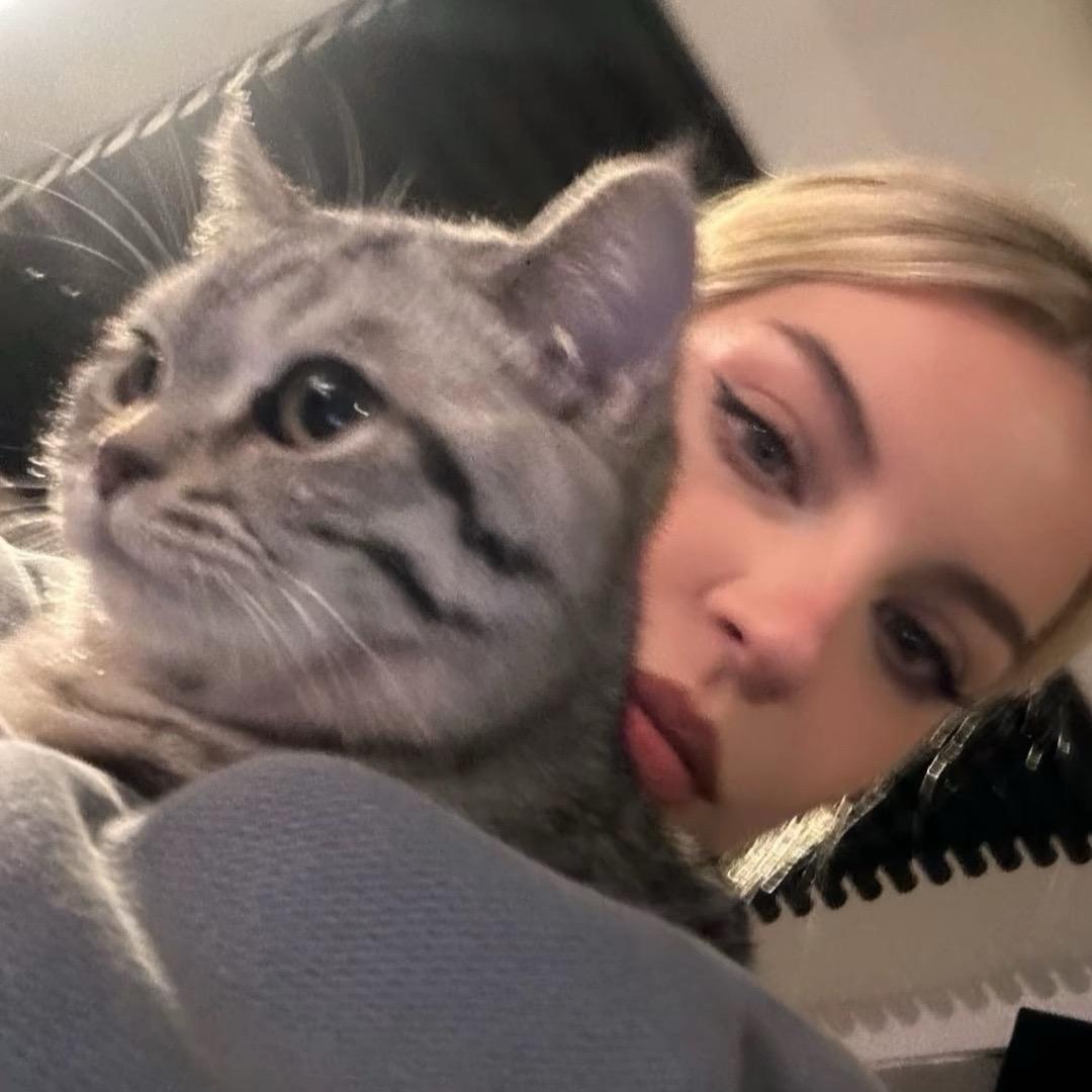 ㅤㅤㅤㅤㅤㅤㅤ   ㅤㅤㅤ