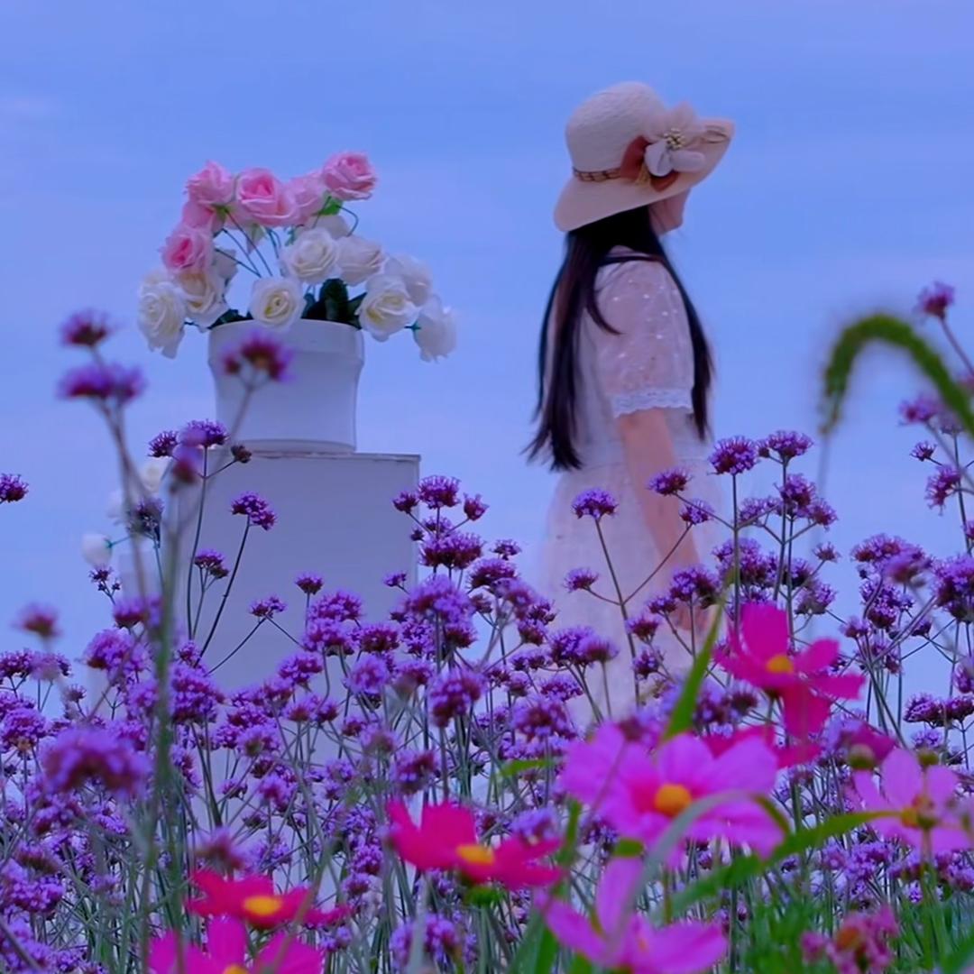皖风婷韵