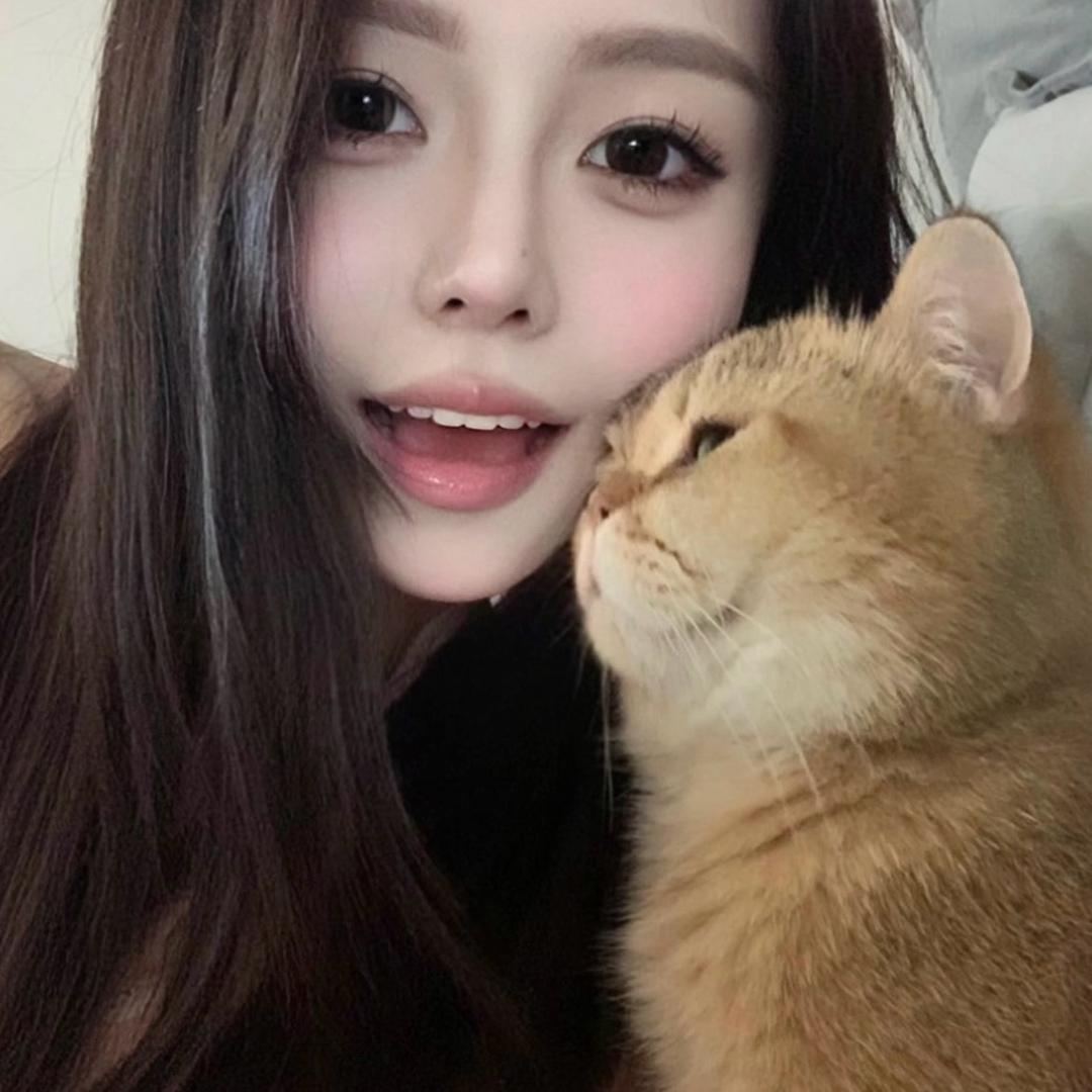 古德猫宁