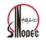 中石化胜利石油工程有限公司