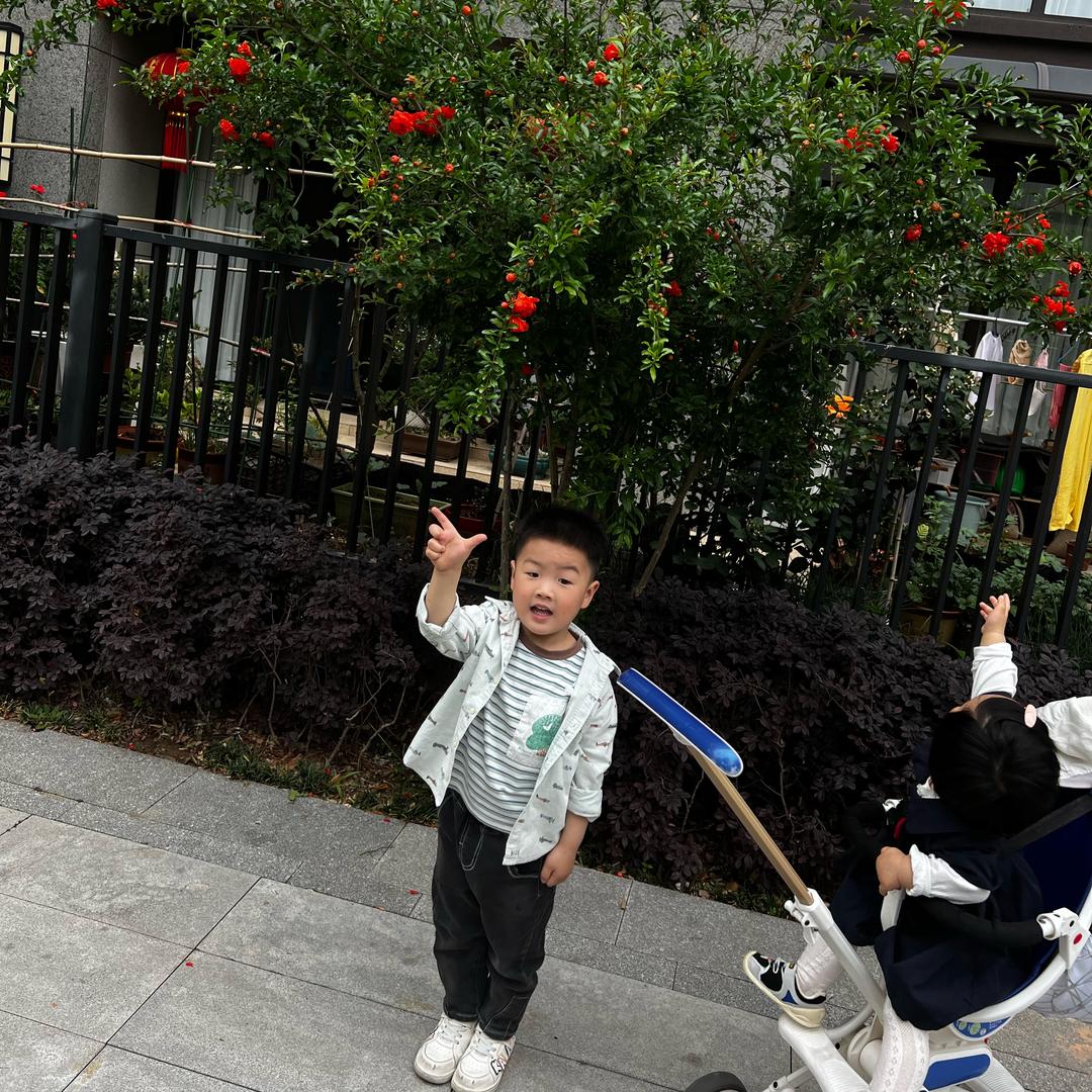 利baby