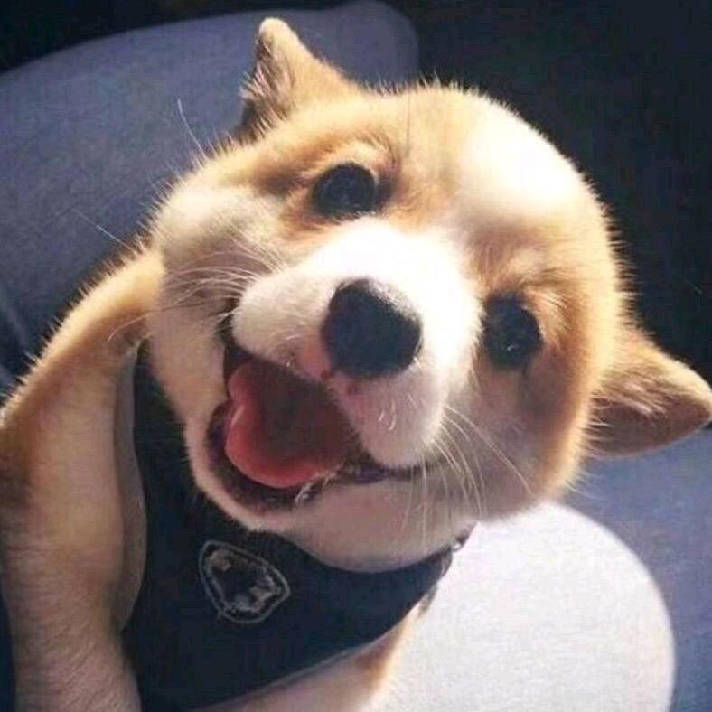 uou
