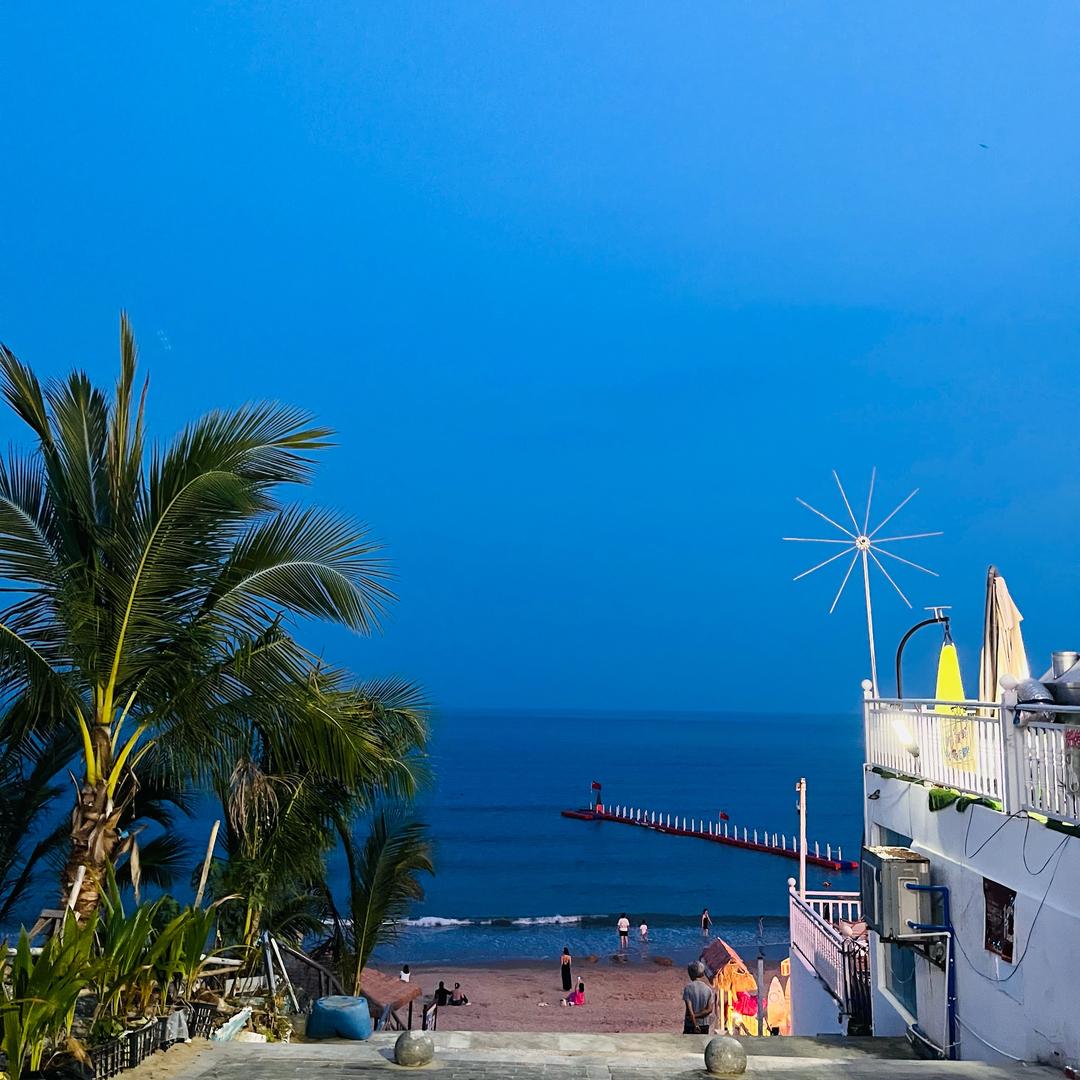 你是一个猪猪猪