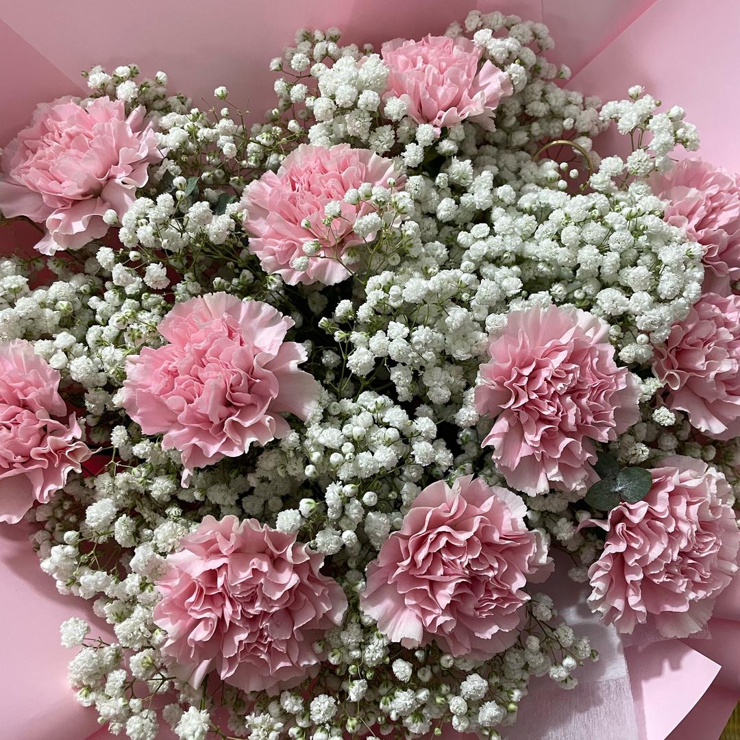 @樱花🌸
