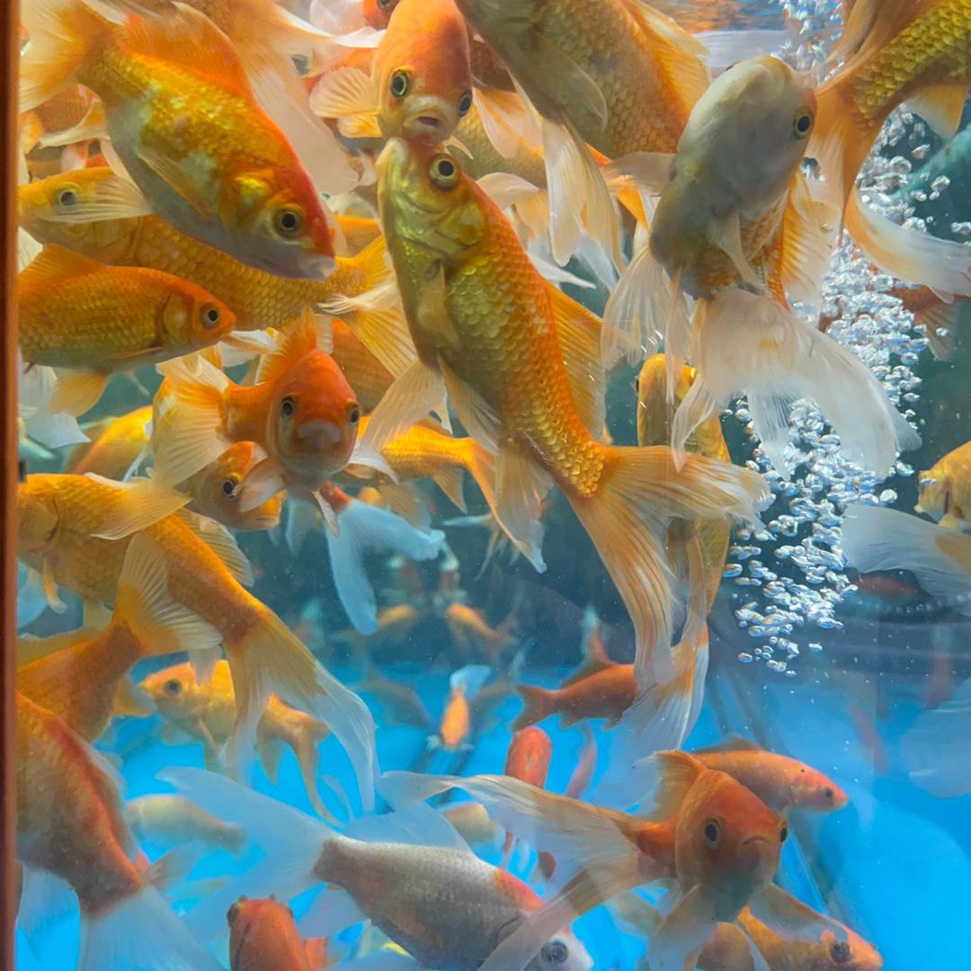 用户284379434854649