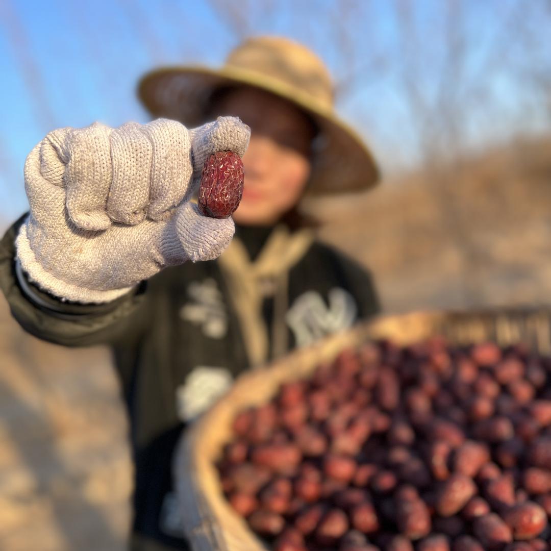 食来运转土特产