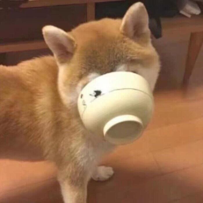 热心市民賀喜老公